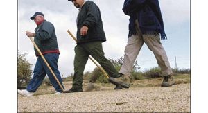 Ranger sees the Sonoran as a food, medicine garden 