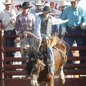 Gilbert Days Rodeo