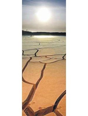 Scientists look at possible climate changes and their effects on the Valley 