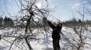 Shocking cold wave drops temps to 40 below 