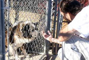 Foreclosed pets
