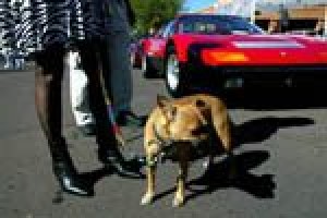 Classic cars on display in Scottsdale 