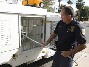 Mesa animal control strapped 