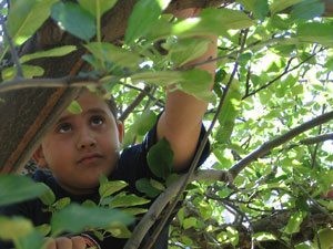 Slide Rock State Park hosts fall apple festival 