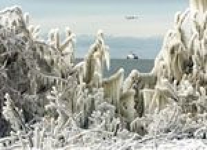 Freezing temperatures stretch south to Florida 