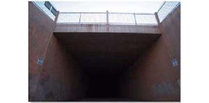 Valley’s own bat cave 