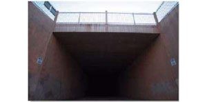 Valley’s own bat cave 