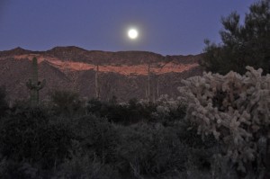 Usery Mountain Park