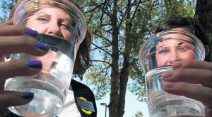 'Green' alert: Firm uses corn drinking cups 