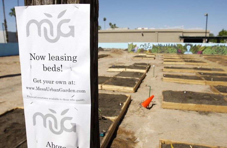 Mesa Urban Garden