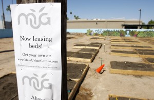 Mesa Urban Garden