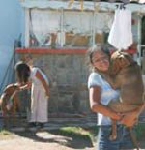 Hispanics sustain a culture of tradition 