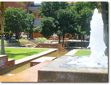 ASU Aboretum