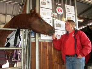 HORSE RESCUE