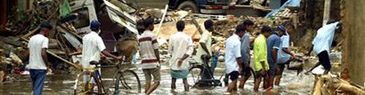 Quake, tsunami death toll passes 22,500 
