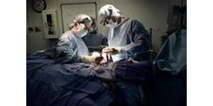 Doctors finish mother-to-son nerve surgery 