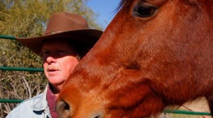 Rescuers liberate abused, neglected horses 