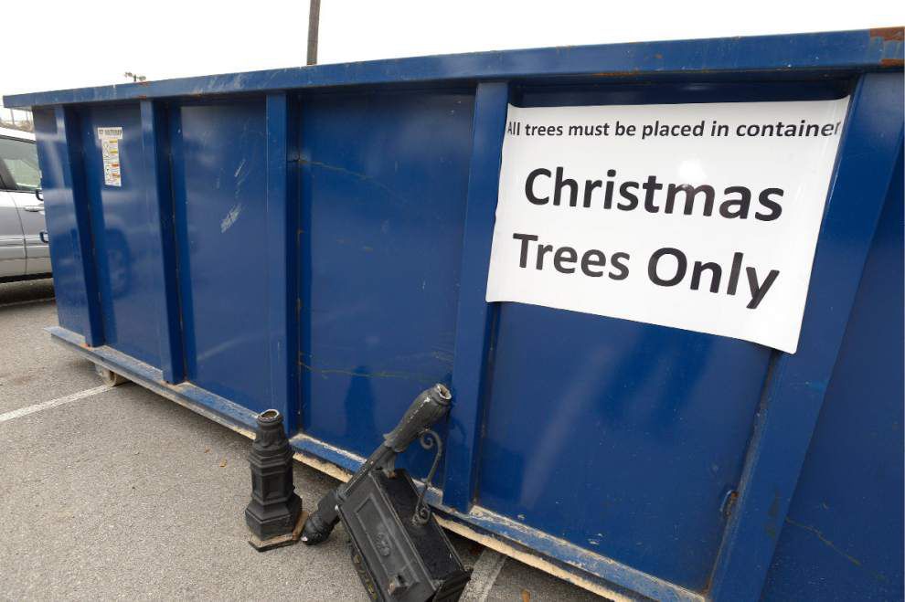 christmas tree recycling available throughout east valley christmas tree recycling available throughout east valley