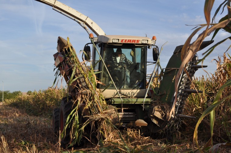 Reclaiming farmland