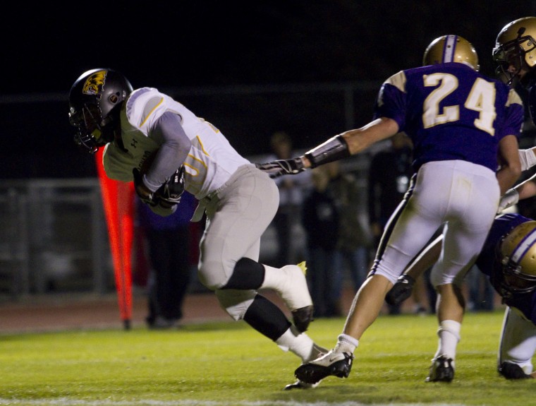 Saguaro at Queen Creek