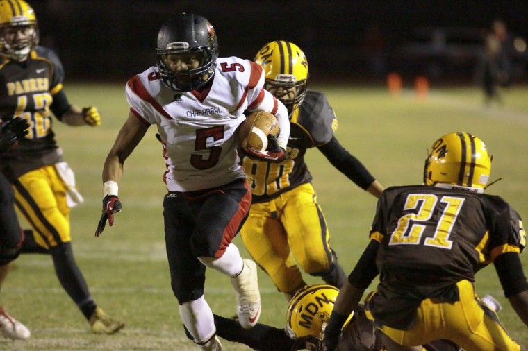 Chaparral at Marcos de Niza