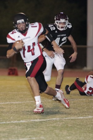 Chaparral at Desert Mountain