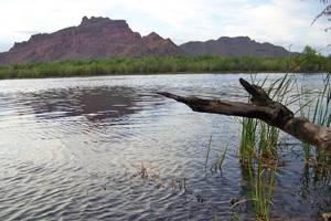 Salt River