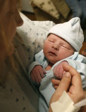'Fertile area' - Gilbert sees 280 births in May 