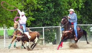 test4Pro Rodeo Team Roping 