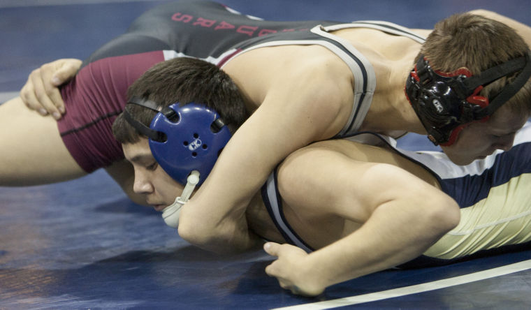 Wrestling: State Championships