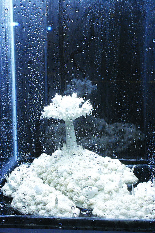 'Rain Cycle'