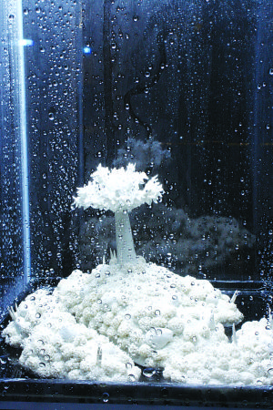 'Rain Cycle'