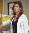 'Grey's Anatomy' fans could see double 