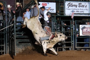 Wacey Barta