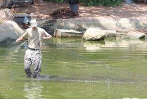 Gator hunters come up empty 