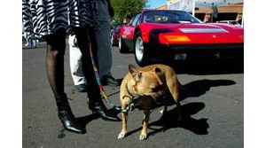 Classic cars on display in Scottsdale 