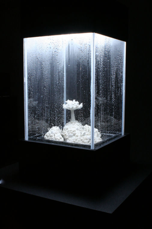 'Rain Cycle'