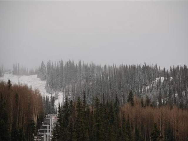 Northern Arizona Snow