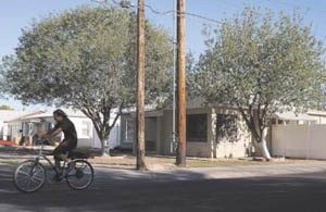 Mesa police chief will launch violent-felon unit 
