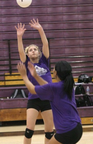 VX Volleyball Preview 
