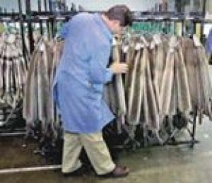 Fur trade back in business, scandal 