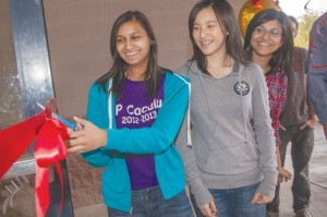 DV Peer Tutoring