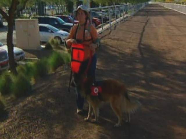 Volunteers, cadaver dogs search for missing ASU student