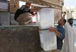 Iraqis probe 'unusually high' yes tally 
