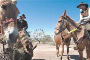 Lost Dutchman Days 
