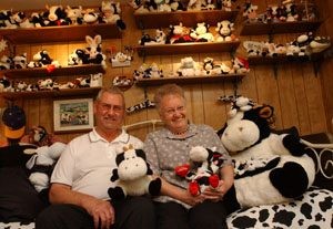 Marlin and Mary Mayer: Cows 