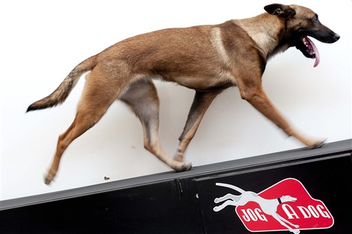Pets-Treadmills