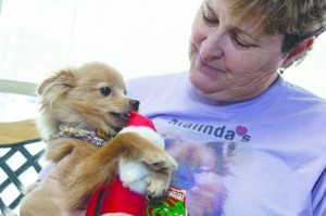 Malinda's Pampered Pets