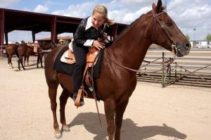 Horse show raises funds for pet shelter 