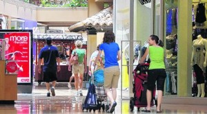 E.V. mall owners shopping for business 